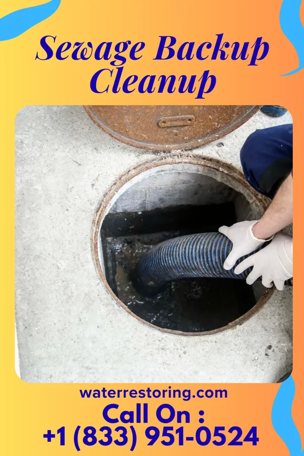 Sewage Backup Cleanup in Bardolph, IL