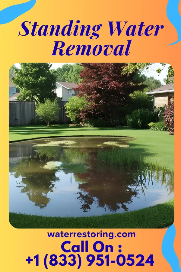 Standing Water Removal in Bardolph, IL